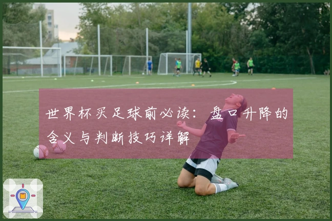 世界杯买足球前必读：盘口升降的含义与判断技巧详解