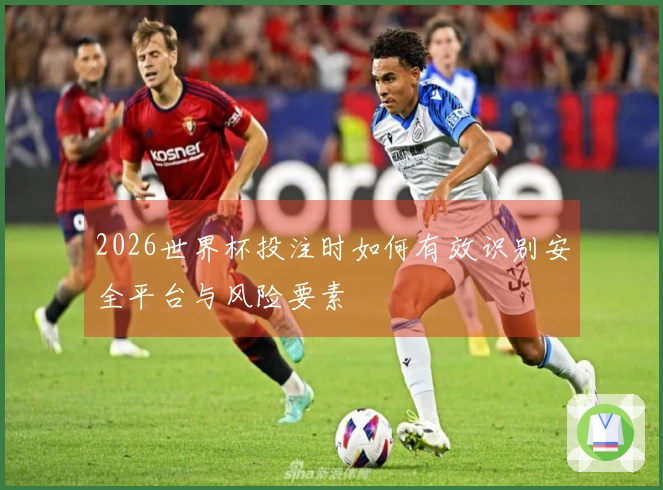 2026世界杯投注时如何有效识别安全平台与风险要素