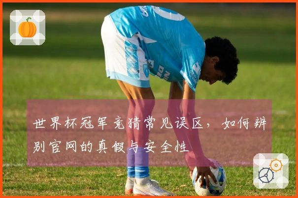 世界杯冠军竞猜常见误区，如何辨别官网的真假与安全性