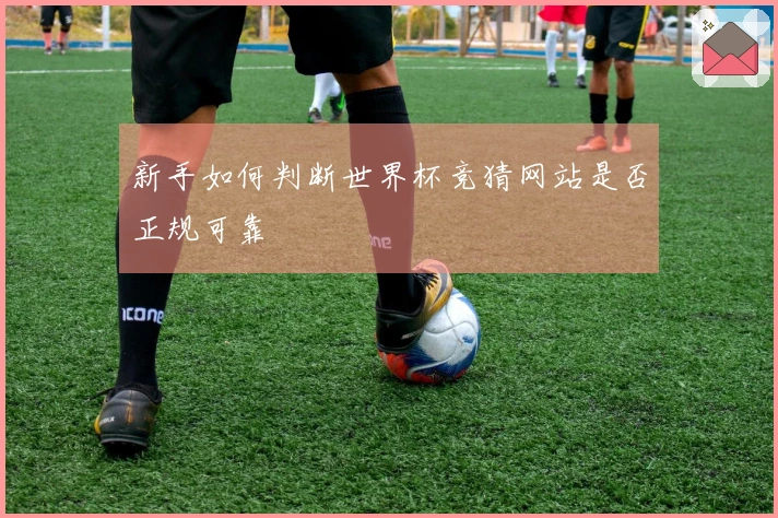 新手如何判断世界杯竞猜网站是否正规可靠