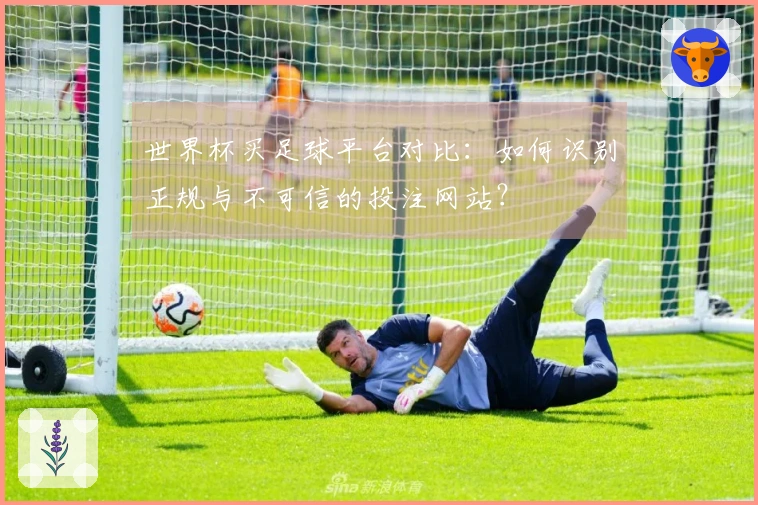 世界杯买足球平台对比：如何识别正规与不可信的投注网站？