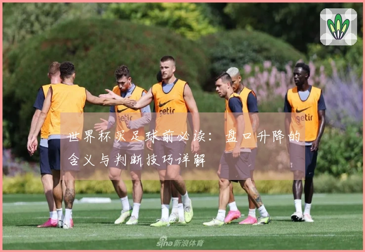 世界杯买足球前必读：盘口升降的含义与判断技巧详解